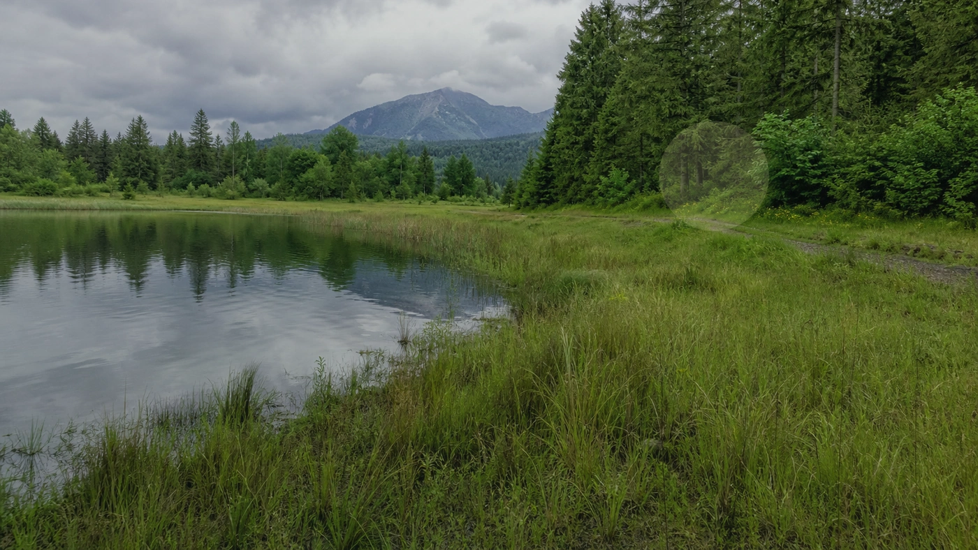 Legal Documents for Selling Land in Washington Washington land guide