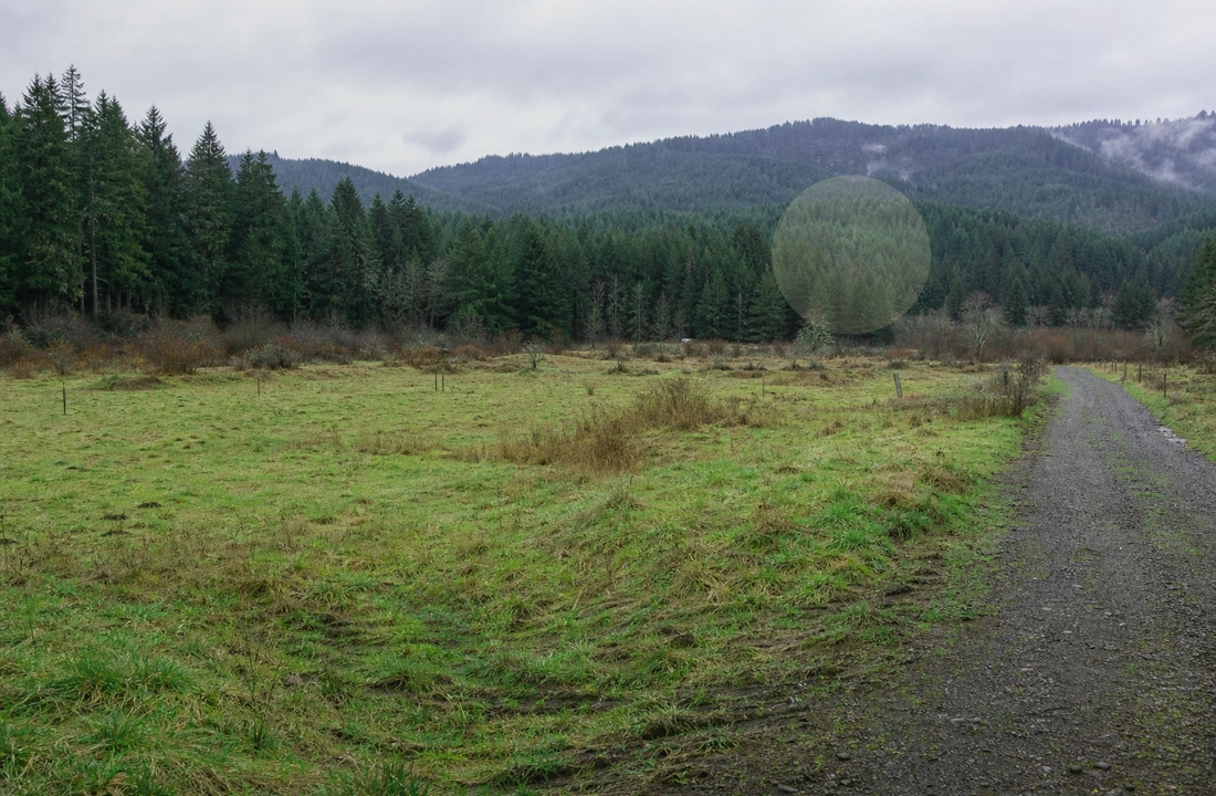 Washington title and closing preparation for How to Sell Land Fast in Washington