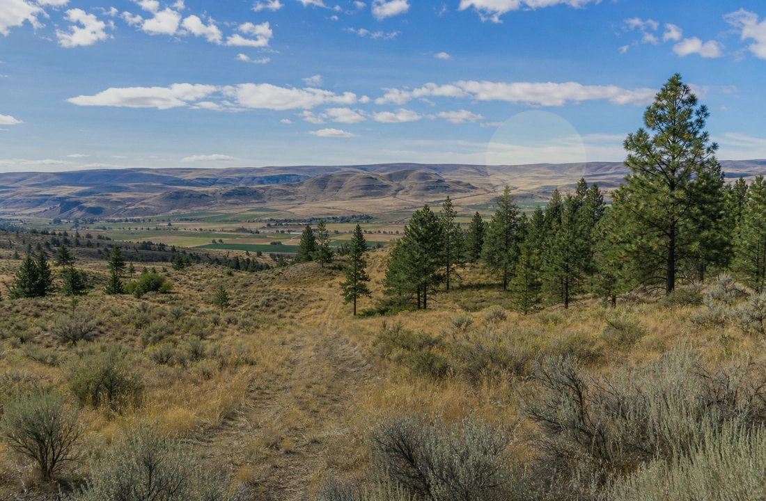 Washington title and closing preparation for How to Sell Land Without Clear Title in Washington