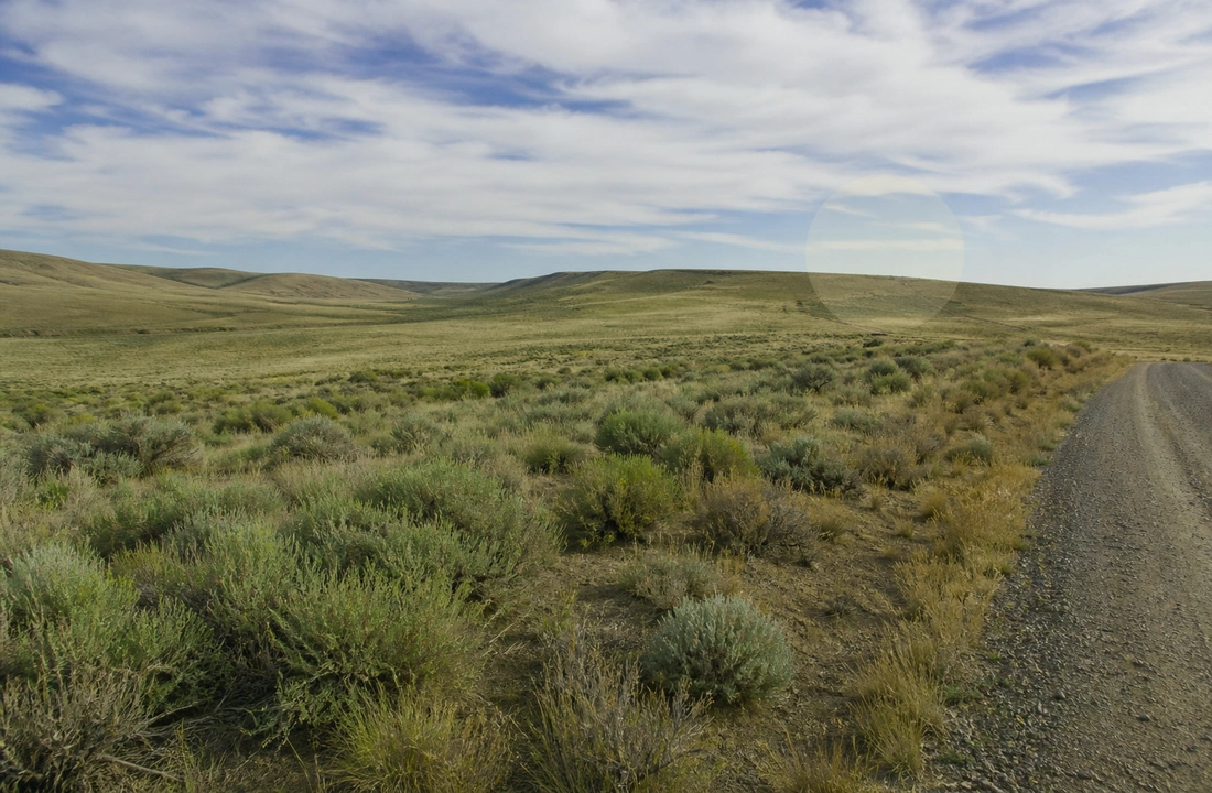 Washington title and closing preparation for Tax on Selling Land in Washington
