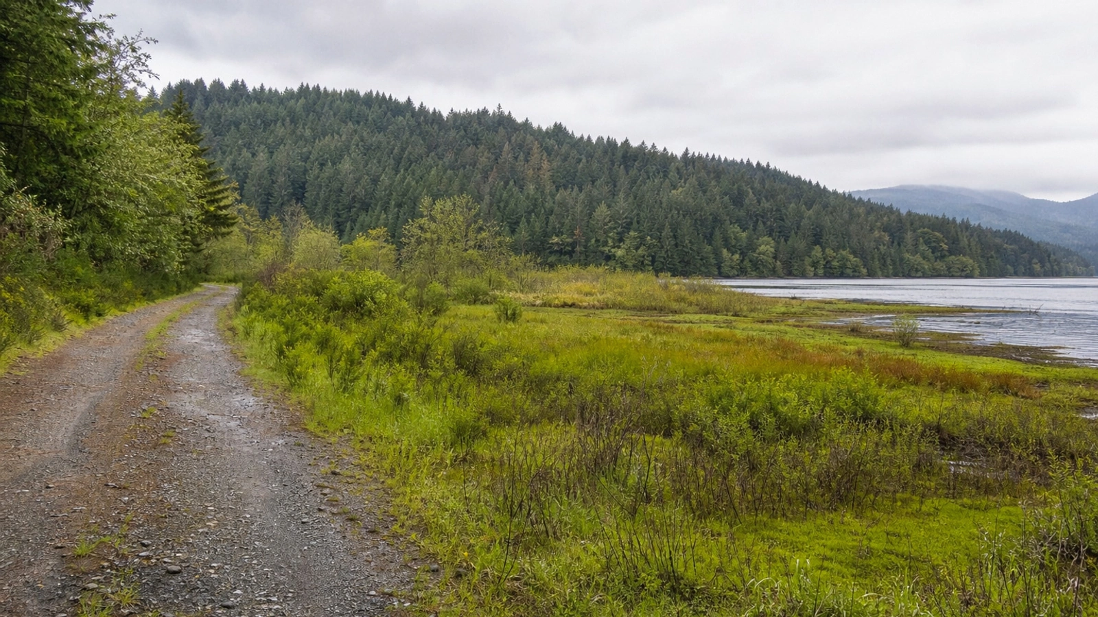 Open Washington land access road near Pend Oreille County