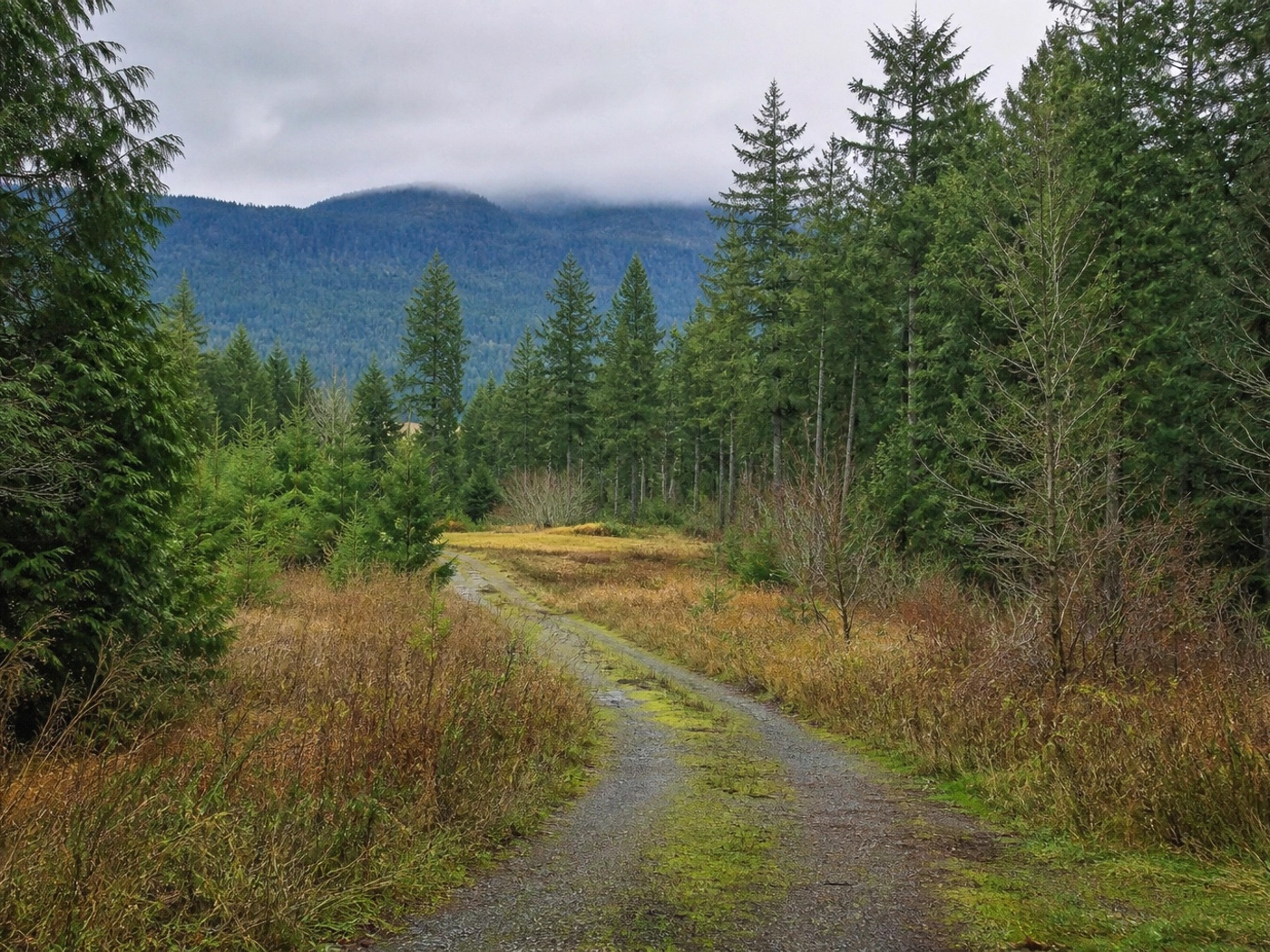 Rural Access Parcels in Pend Oreille County